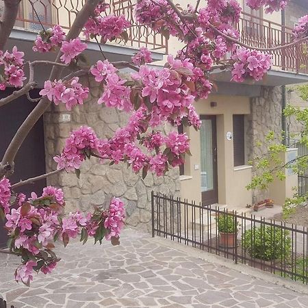 La Casina Di Nonna Giulia Daire Castiglione dʼOrcia Dış mekan fotoğraf