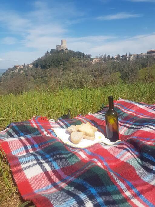 La Casina Di Nonna Giulia Daire Castiglione dʼOrcia Dış mekan fotoğraf