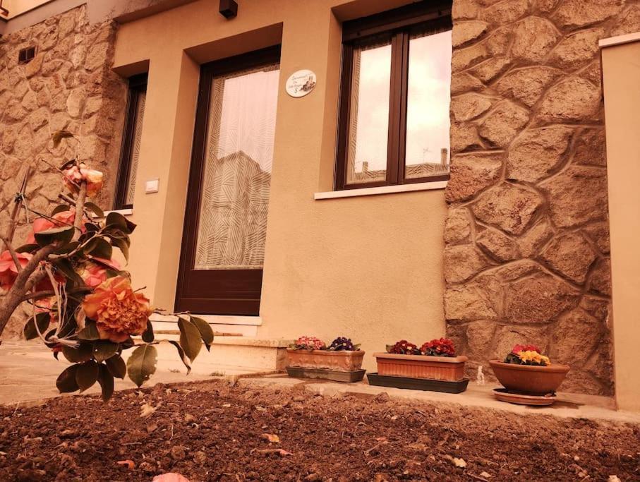 La Casina Di Nonna Giulia Daire Castiglione dʼOrcia Dış mekan fotoğraf