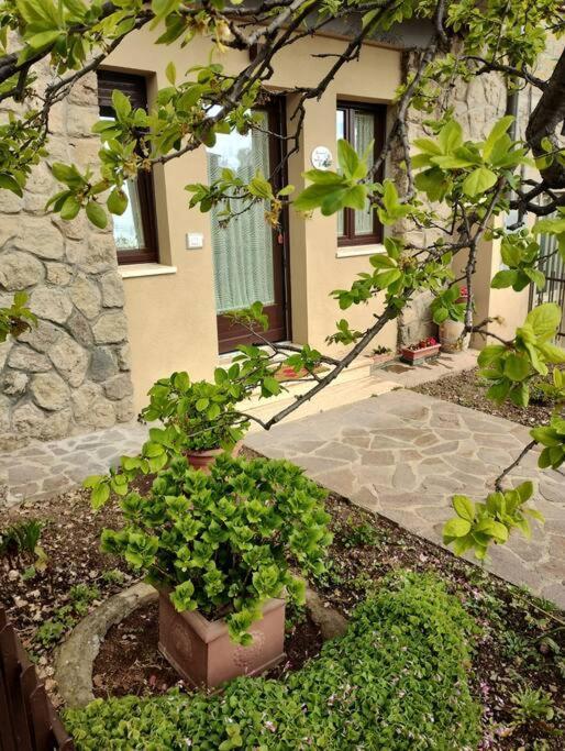La Casina Di Nonna Giulia Daire Castiglione dʼOrcia Dış mekan fotoğraf