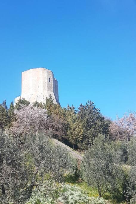 La Casina Di Nonna Giulia Daire Castiglione dʼOrcia Dış mekan fotoğraf