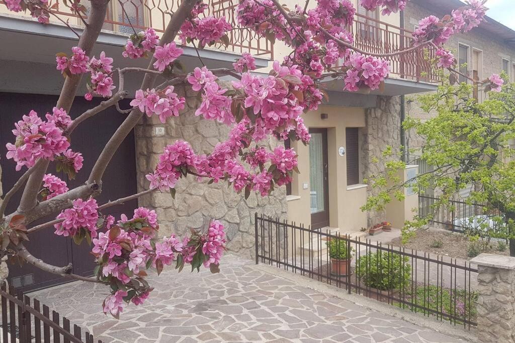 La Casina Di Nonna Giulia Daire Castiglione dʼOrcia Dış mekan fotoğraf